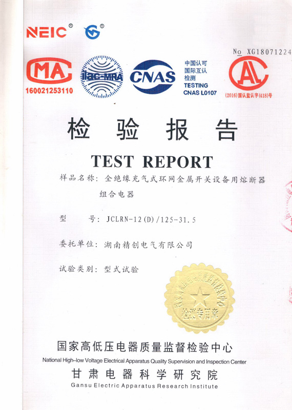 熔斷器組合型式試驗(yàn)報(bào)告